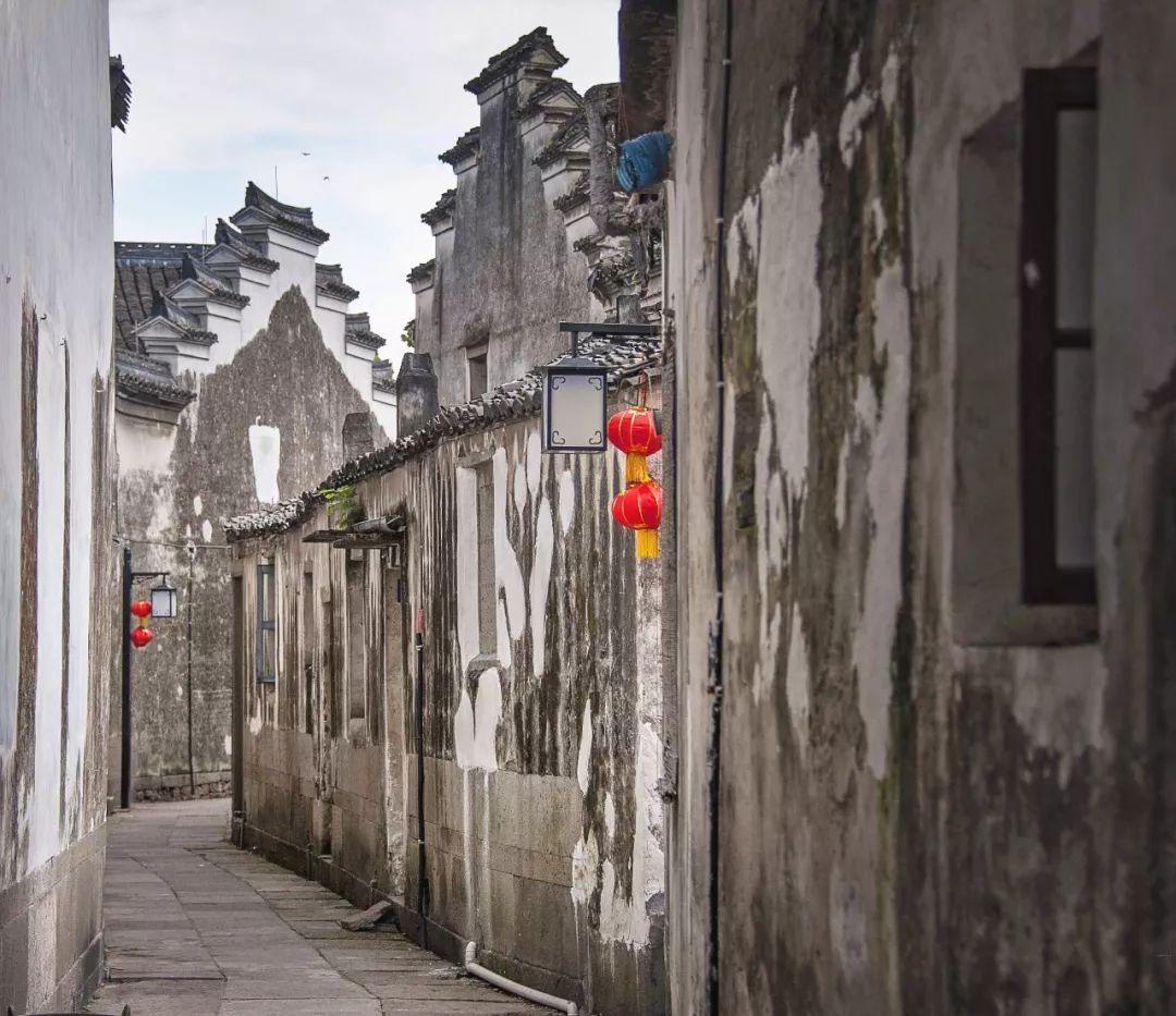 寻找沙漠珍宝